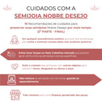 Colar Cercadinho Gotas Zircônias Cristal Banhado a Ouro 18K